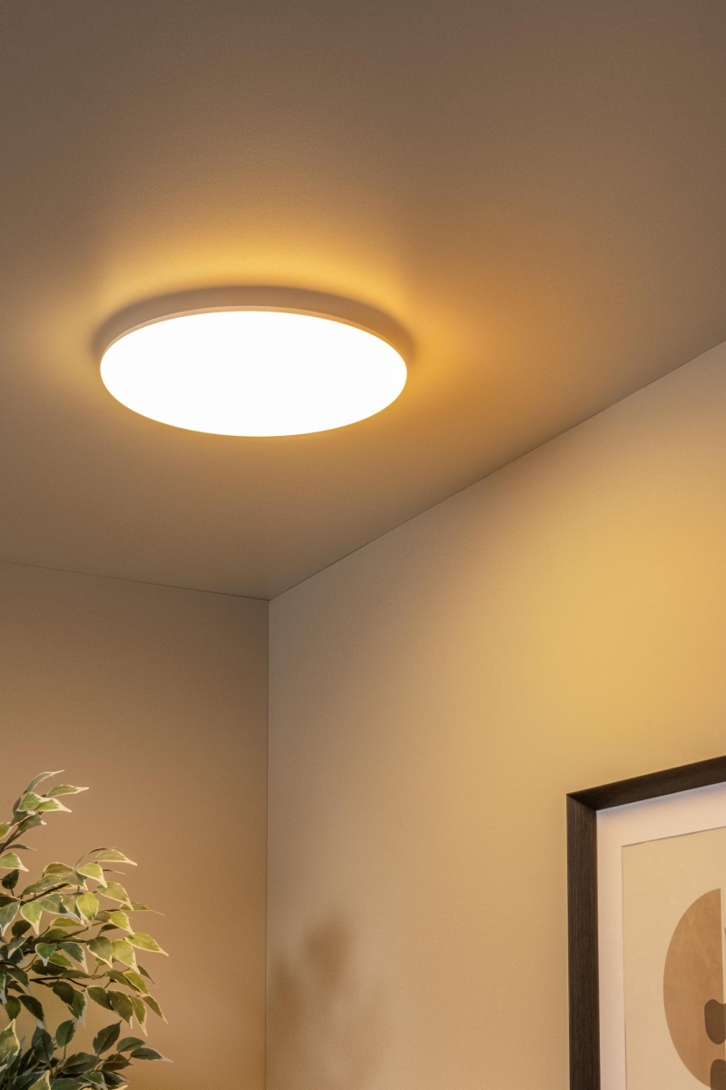 Lucide OLSON - Flush ceiling light Bathroom - Ø 35 cm - LED - CCT - 1x36W 3000K/6500K - IP44 - Opal